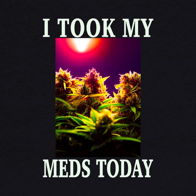 I Took My Meds Today Marijuana Funny Weed Cannabis Sayings by aditchucky